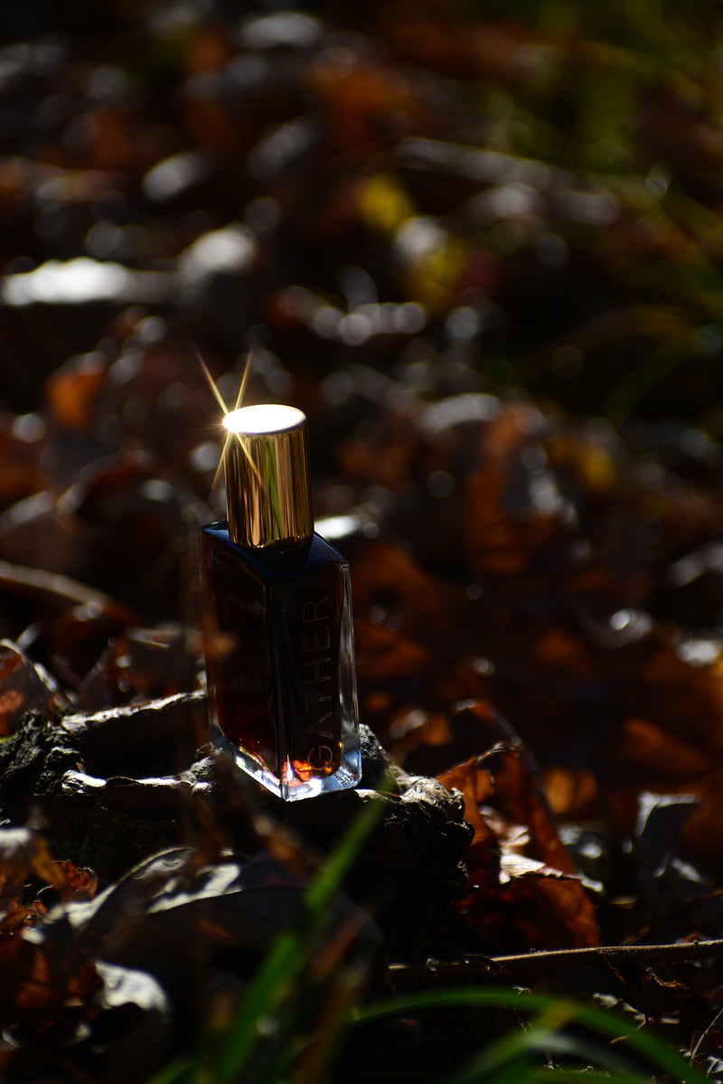 HEIRLOOM OAK - Natural Botanical Perfume - Memoirs Armoire – GATHER