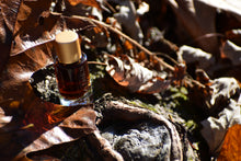 HEIRLOOM OAK - Natural Botanical Perfume - Memoirs Armoire