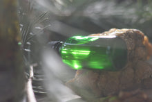 RESIN DROPS | 2026. Pinon, Poplar, Juniper, Frankincense, Fir, | Topical healing concentrate