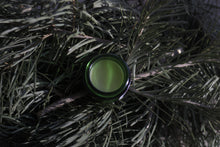 TALLOW RESIN BALM 2026 | Poplar Pinon Juniper Frankincense White Fir Tallow | Limited microbatch