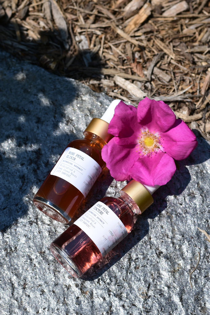 ROSE PETAL TINCTURE - wild gathered + home grown roses - 2025 harvest ...