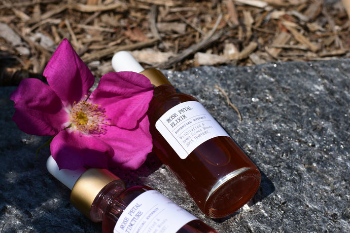 ROSE PETAL ELIXIR - wild gathered + home grown roses - 2025 harvest