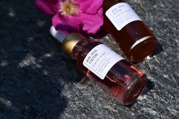 ROSE PETAL TINCTURE - wild gathered + home grown roses - 2025 harvest