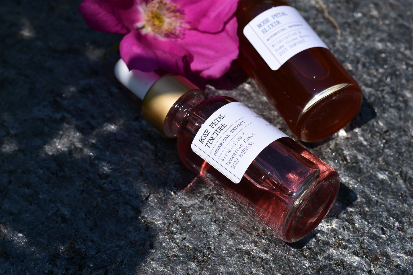 ROSE PETAL TINCTURE - wild gathered + home grown roses - 2025 harvest