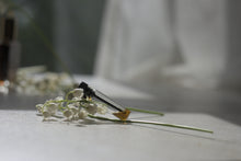 SPRING EPHEMERAL - The Uncaptured Flowers - Natural Botanical Perfume