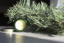 TALLOW RESIN BALM 2026 | Poplar Pinon Juniper Frankincense White Fir Tallow | Limited microbatch