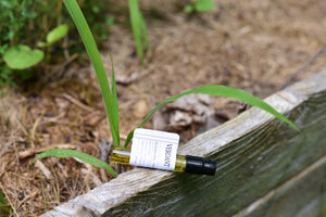 VERDANT | Grasslands | Terroir Perfume | Limited 2025