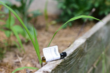 VERDANT | Grasslands | Terroir Perfume | Limited 2025