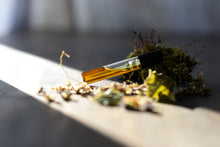 VINTAGE VIOLET - Natural Botanical Perfume - Mysterious Ways . Green Chypre - *PREORDER . RETURN Batch 2025