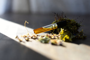 VINTAGE VIOLET - Natural Botanical Perfume - Mysterious Ways . Green Chypre - *PREORDER . RETURN Batch 2025