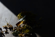 VINTAGE VIOLET - Natural Botanical Perfume - Mysterious Ways . Green Chypre - *PREORDER . RETURN Batch 2025