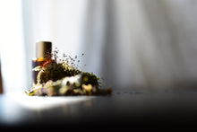 VINTAGE VIOLET - Natural Botanical Perfume - Mysterious Ways . Green Chypre - *PREORDER . RETURN Batch 2025