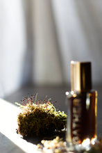 VINTAGE VIOLET - Natural Botanical Perfume - Mysterious Ways . Green Chypre - *PREORDER . RETURN Batch 2025