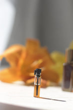 GEORGIA MORNING | Natural Botanical Perfume | Sunshowers, Lilies, Southern Magnolia Landscape