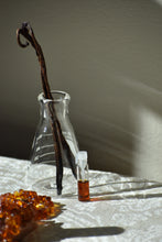 Ambreine, Natural Botanical Amber Fragrance Sample by Gather perfume