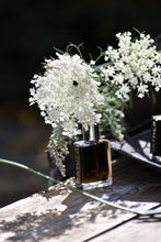 Tea Season, The London Fog, natural botanical perfume by Gather, Bergamot, Black Tea, Honey, Jasmine, Vanilla