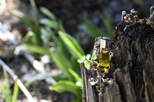 EXPERIMENTAL PERFUME ACCORDS - 100 Days of Art - Botanical Perfume Expressions
