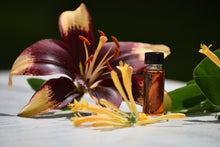 GEORGIA MORNING | Natural Botanical Perfume | Sunshowers, Lilies, Southern Magnolia Landscape