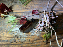 KEY { to the forest } - folk tale week perfume - coniferous, balsams - Limited project