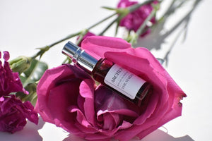 ARCHETYPE PERFUMES | Discovery Set | Maiden, Healer, Wild Woman, Witch | Natural Botanical Perfume