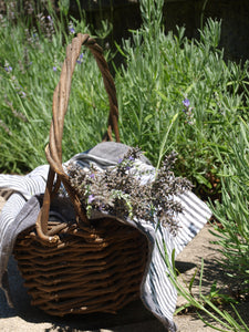 Lavender by Gather perfume, garden, artisanal tinctures, natural fragrance