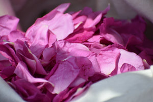 ROSE PETAL ELIXIR - wild gathered roses - 2022 harvest